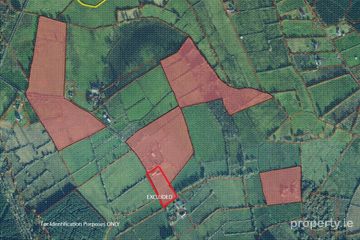Lands Drumgowla, Kilnagross, Carrick-on-Shannon, Co. Leitrim