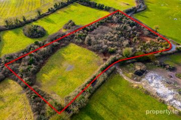 Broughall, Kilcormac, Broughal, Co. Offaly — photo 2