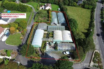 Ballyvourney Nursery  Garden Centre, Ballymakeera, Co. Cork