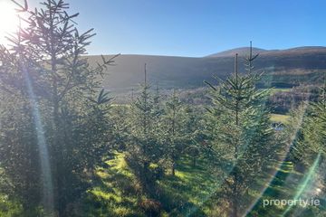 Knockroe, Borris, Co. Carlow — photo 3