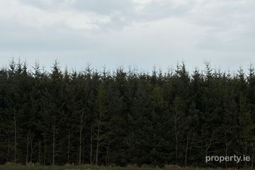 Foilnacanna, Kilcommon, Thurles, Co. Tipperary — photo 3