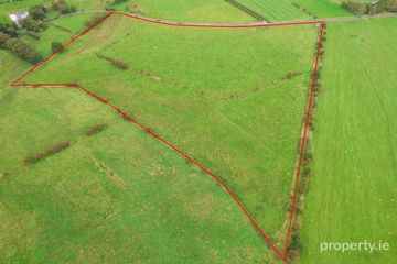 Carrownalassan, Four Mile House, Co. Roscommon