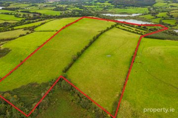 Ben of Fore, Castlepollard, Co. Westmeath — photo 2