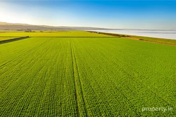 Carse Hall Farm