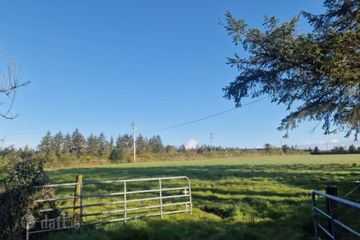 Trien, Castlerea, Co. Roscommon — photo 3