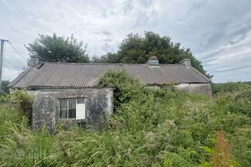 Shragh, Kilrush, Kilrush, Co. Clare, V15X046 — photo 2
