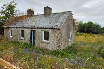 Carlow Road Ballylynan, Athy, Co. Kildare — photo 3