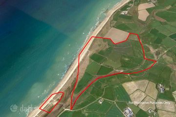 Ringbawn/Ballagh Land (132.5 Acres), Tacumshin, Co Wexford