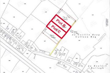 Eco Acres, Cullionbeg, Mullingar, Co. Westmeath — photo 2