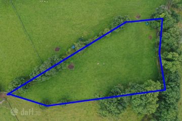C. 1.25 Aces At, Lisnagavragh, Four Roads, Co. Roscommon — photo 2