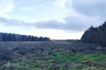 Carnacalla, Kilrush, Co. Clare — photo 2