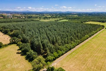 Lot 3 - Forestry At Newtown, Bonnettstown, Co. Kilkenny, Tullaroan, Co. Kilkenny — photo 2