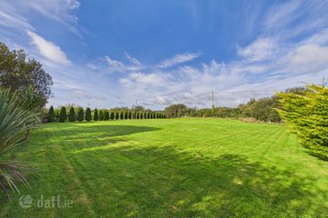 Crinalisk, Kill, Co. Waterford, X42H966 — photo 2