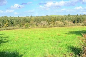 House & Lands Knockreagh, Dysart, V95 FW50, Mauricesmills, Co. Clare — photo 3