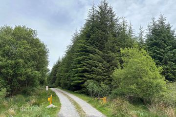 Project West Forestry, Ballykelly, Co. Clare — photo 3
