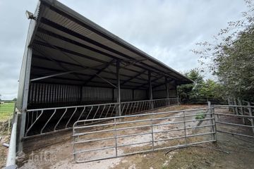 Ballyroe East, Ballingarry, Co. Limerick — photo 3