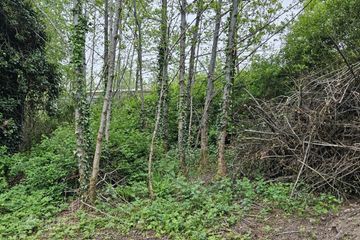 Derelict House, Tully Mountain, Rathmelton, Co. Donegal — photo 3