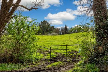 Land At Drumbar