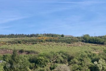 Reamore, Kielduff, Tralee, Co. Kerry — photo 3
