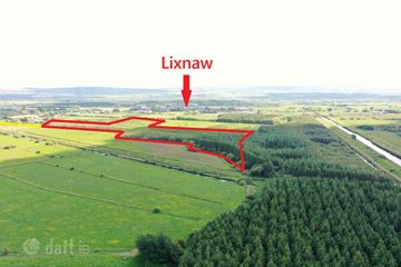 19.7 Acres Forestry Plantation Clogher, Lixnaw, Co. Kerry — photo 3