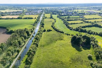 42.406 Acres / 17.16 Hectares, Sallymills, Rathangan, Co. Kildare — photo 3