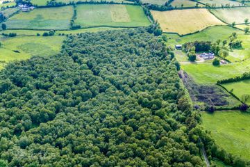Lands, Rossarrell, Glaslough, Co. Monaghan — photo 3