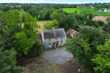 Dingins, Lough Gowna, Co. Cavan