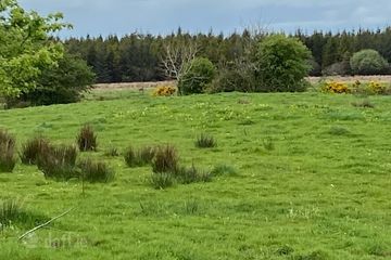 Graigueachullaire, Dunmore, Co. Galway — photo 3