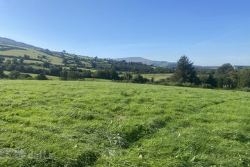 Ballinree, Bagenalstown, Co. Carlow — photo 2