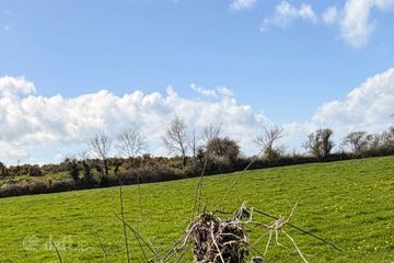 Boley, Ballycullane, Co. Wexford — photo 3