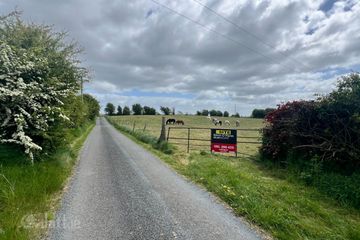 Earlspark, Ballinasloe, Ballydangan, Co. Roscommon, H53T886