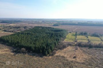 Clooncoose North, Castlerea, Co. Roscommon — photo 2