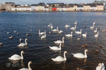 Unit 4, Caiseal Eala, Galway City Centre, Co. Galway, H91NV00 — photo 3