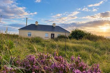 Cottage and 16 acres in Muingaroon, Barnatra, Knocknalower, Co. Mayo, F26V562 — photo 2