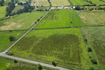 Residential Holding On, C.20 Acres (Can Be Sold Seperately), Slieveroe, Frenchpark, Co. Roscommon