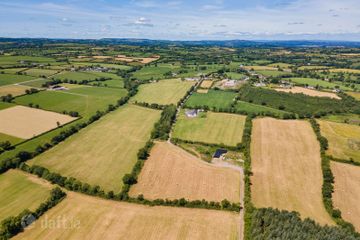 Farm At Newtown - Entire, Bonnettstown, Co. Kilkenny, Tullaroan, Co. Kilkenny — photo 3