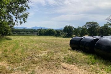 Residential Farm, Doon , Knocknagree, Co. Cork — photo 3