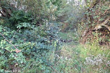0.23 Acre Plot of Land, The Raven, Curracloe, Co Wexford — photo 3