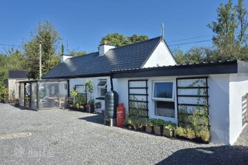 Bella, Frenchpark, Lurgan, Co. Roscommon, F45TY48 — photo 2