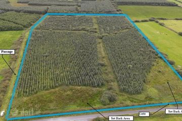 Cloonmore, Doonbeg, Co. Clare