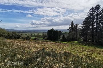Tullagubbeen, Castleisland, Co. Kerry — photo 3