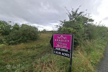 C. 28.89 Acres, Cuilmore, Gurteen, Co. Sligo, F56WF50