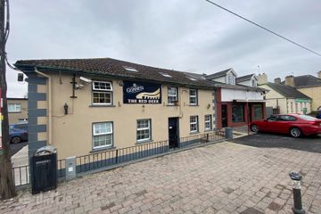 The Red Deer, Pallasgreen, Co. Limerick, V94RY99 — photo 2