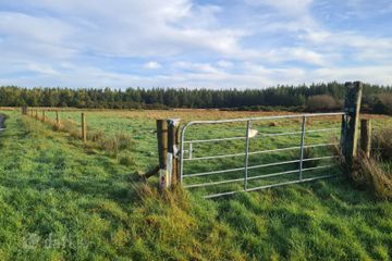 Fuel, Drumbaun, Curry, Co. Sligo — photo 3