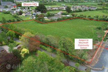 Dysartbeigh, Mountrath, Co. Laois