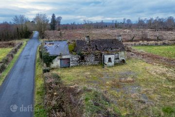 Bogaderries , Birr, Co. Offaly, R42VX88 — photo 2