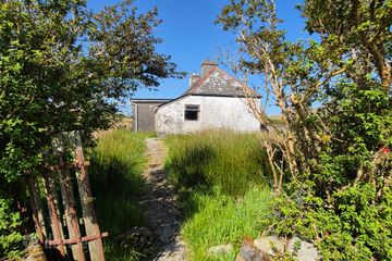 Bohaun North, Killavally, Killavally, Co. Mayo, F28V302 — photo 2