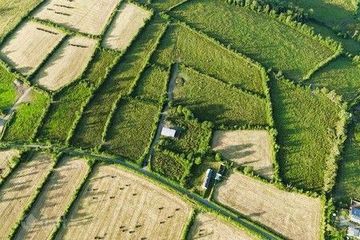 Lands Drumgowla, Kilnagross, Carrick-on-Shannon, Co. Leitrim — photo 3