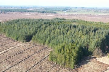 Clooncoose North, Castlerea, Co. Roscommon