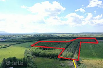 19.7 Acres Forestry Plantation Clogher, Lixnaw, Co. Kerry — photo 2